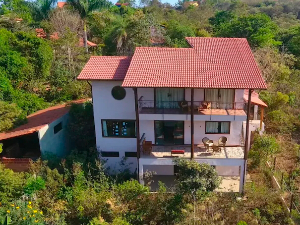 casa polenizadores